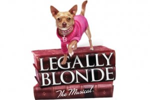 Legally Blonde Photo From HOTA