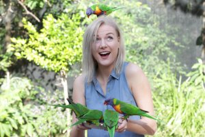 Lorikeet Feeding Photo From Currumbin Wildlife Sanctuary