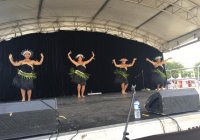 Pasifika Vibes Festival