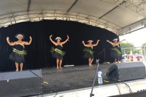 Pasifika Vibes Festival