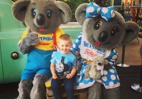 Dreamworld Australia V1 Dreamworld Australia V1