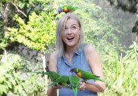 Lorikeet Feeding Photo From Currumbin Wildlife Sanctuary